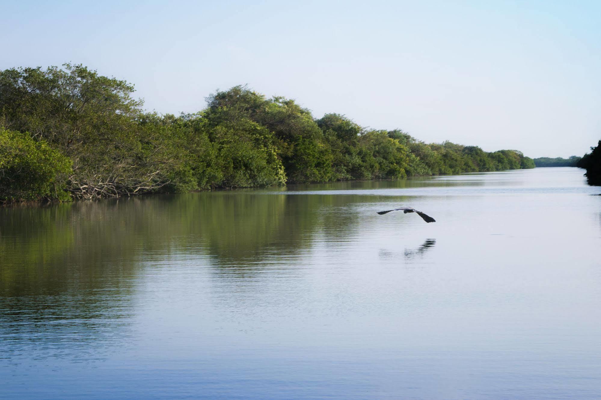 Hotel Isla Tajin Tuxpan  Zewnętrze zdjęcie